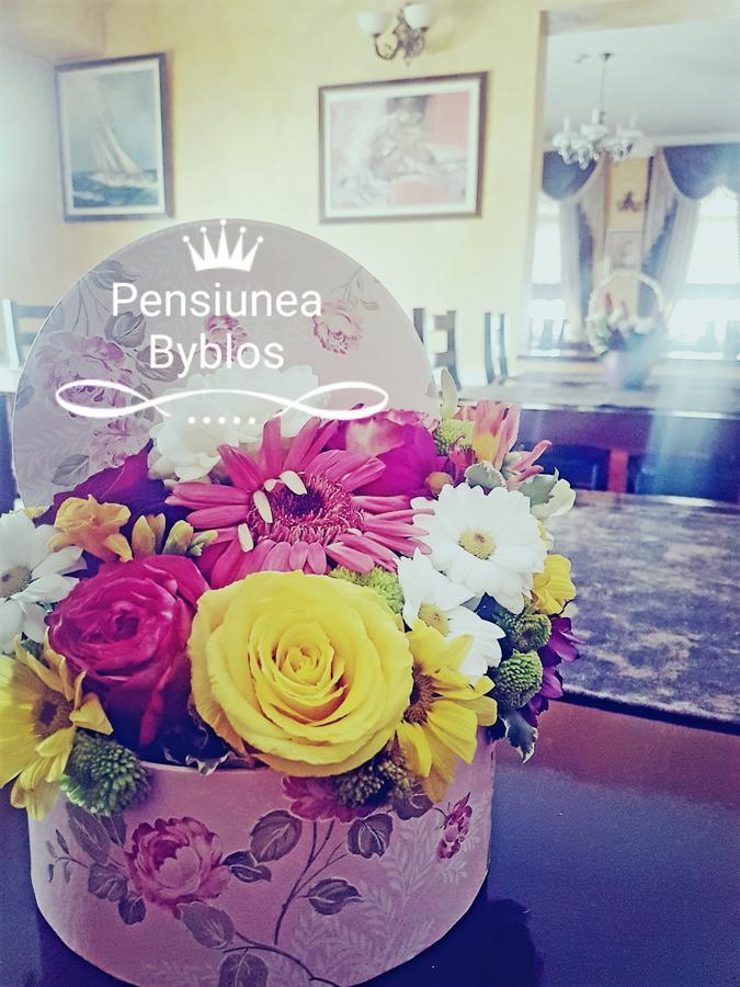 Pensiunea Byblos Piatra Neamt Luaran gambar